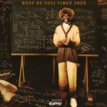 DJ Glitter - Best Of Seyi Vibez (2024 Mix)